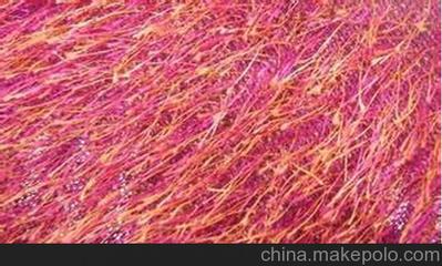 南京松針絨銷售與揚州凱潤達針紡織品 品質(zhì)與信賴的雙重保障